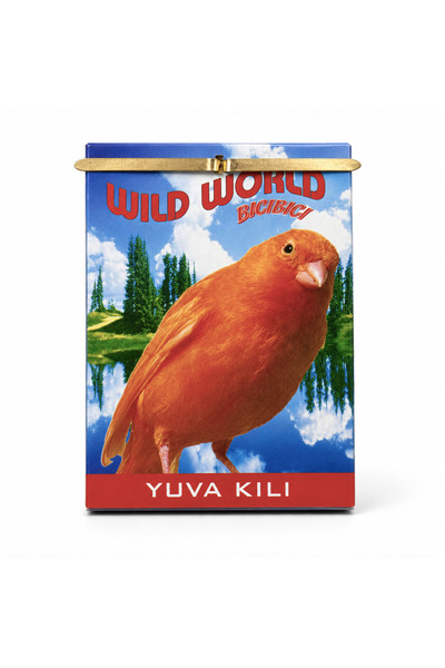 Wild World خيوط تعشيش من ألياف الكتان للكناري وطيور الزينة Beaks – علبة معلقة...