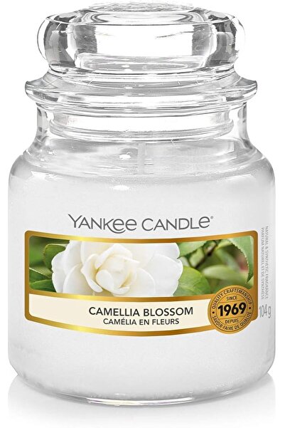 Yankee Candle شمعة معطرة، شمعة كبيرة برائحة الورود الطازجة، شموع طويلة الاحتر...