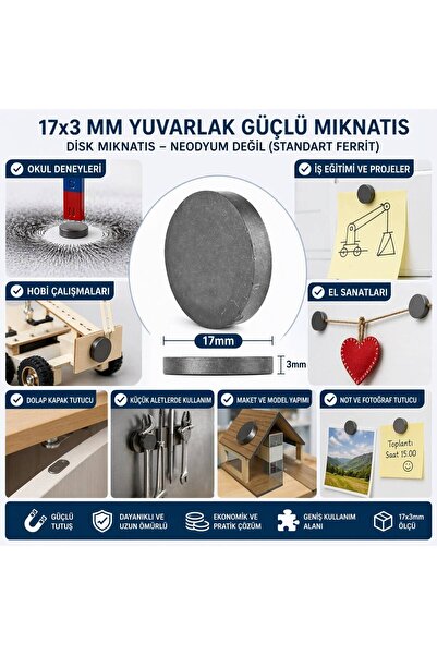 pınaxar Magnet 17X3 mm Round Strong Magnet Disc Magnet