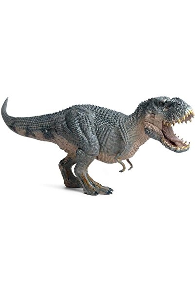 Hidyliu Dinosaur Model Realistic Tyrannosaurus Toy, Plastic Action Figure, Mo...