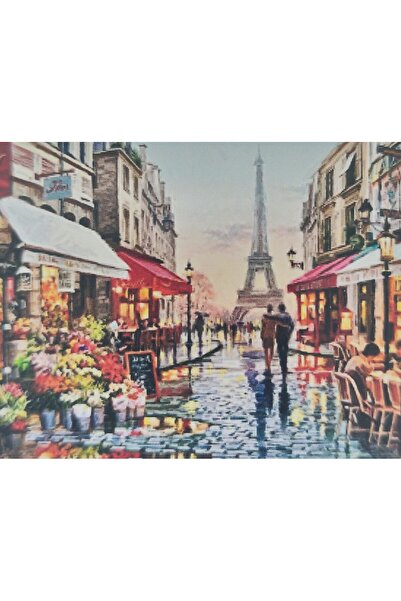 mentaş grup Diamond Painting Beaded Tapestry Mosaic Puzzle Crystal Stone Boar...