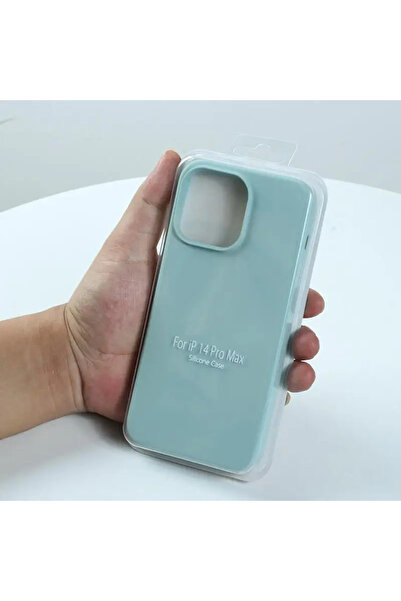 Choice iPhone 16 Pro Max light green Official Case for IPhone 17 Pro Max 16 P...