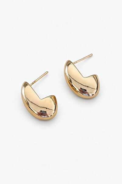 PRVT Gold Color Stainless Daily Modern Earrings