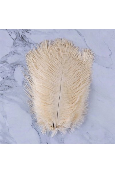 NO BRAND PENE DE PENELE REPRODUCTE DE PASĂRE DECORATIVE NATURALE 65-70cm