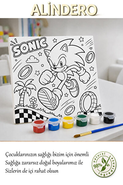 Alindero tuval boyama seti çocuk gelişim sanat etkinlik SONIC temalı + fırça ...