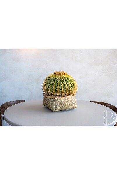 NO BRAND ghiveci jos din bambus, vas, suport împletit NALA LOW 29x29/12 cm ba...