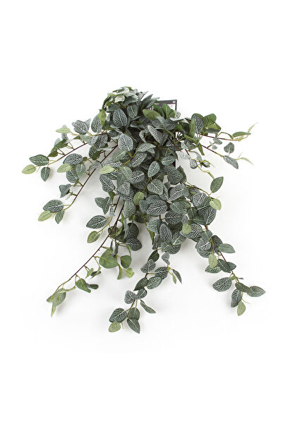EDELMAN Ghirlandă artificială de Pilea, 80 cm, pentru perete