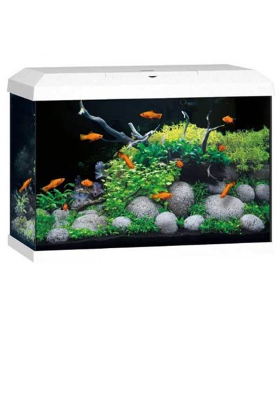 Juwel Primo 70 LED 2.0 White