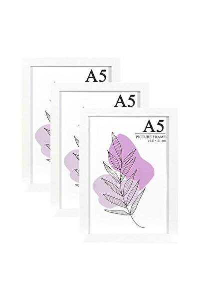 Generic Brand Picture Frame, A5 White, Sturdy MDF-Wood Frame, Set of 3 Poster...
