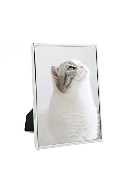 Generic Brand DECANIT 8x10 Picture Frame Metal, Thin Profile Photo Frame 8 by...