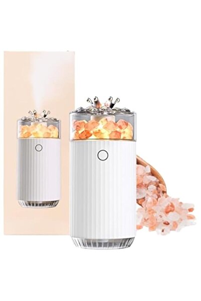 Generic Brand Salt Lamp Diffuser, 4-in-1 Essential Oil Diffuser & Himalayan S...
