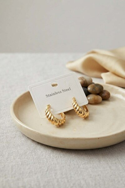 Inure Jewelry 316L Steel Gold Color Curved Hoop Model Earrings