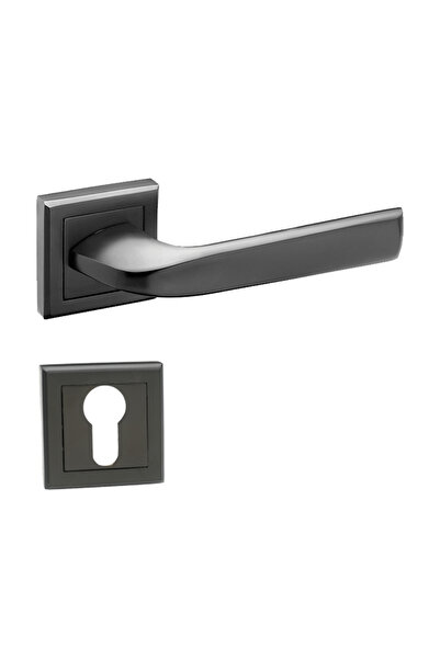 Bussare Mâner cu rozetă - Vertico - Ash Black - rozetă cilindru PZ