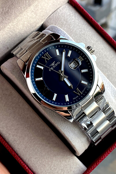 FERRO Men's wristwatch steel band 2 years warranty waterproof boxed
