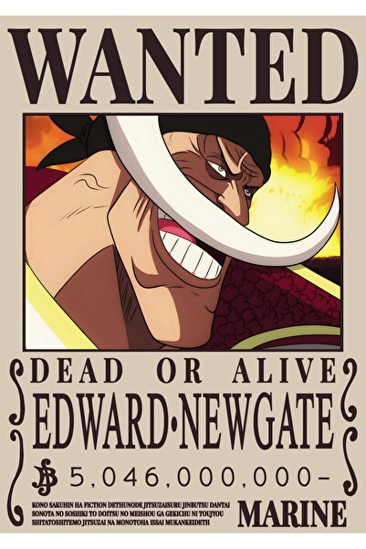 OEM Αφίσα από χαρτόνι 250γρ. A4, Whitebeard One Piece, Συλλογή Anime, Κορυφαί...