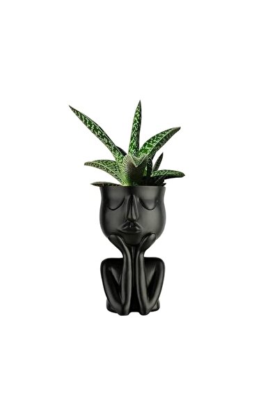 Generic THE WHITE SHOP Pots Succulent Pots Resin Cactus Pots Small Cute Plant...