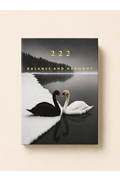 İLURA Manifest 222 Book Box Magazine Balance and Harmony Decorative Box Moder...