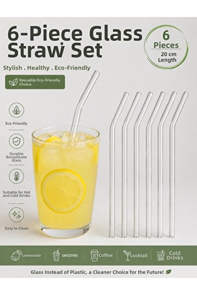 Rembox Set of 6 Glass Straws |   20 cm Borosilicate Transparent Glass Pipette