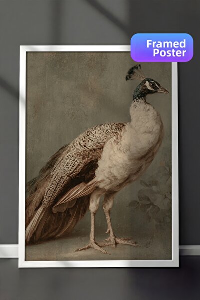 Zestia Vintage Wall Art Painting, Natural Tone Peacock White Framed No: 20129
