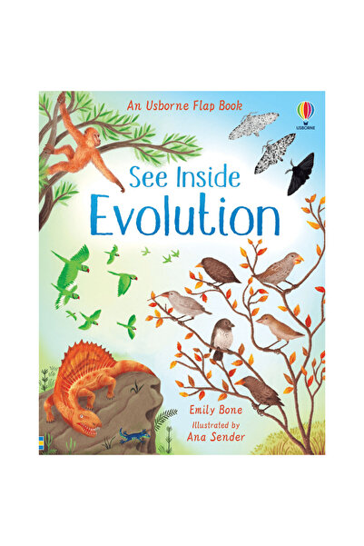 Usborne Children's book - See Inside Evolution
