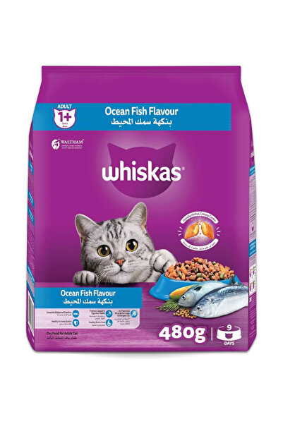Whiskas طعام جاف للقطط 1+ بنكهة سمك المحيط 480 جرام