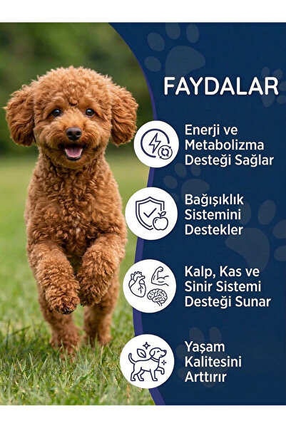 Dr. Nature's Köpek Multivitamin Damla 50 ml – Sıvı Vitamin Kompleksi ve Günlük Sağlık Desteği