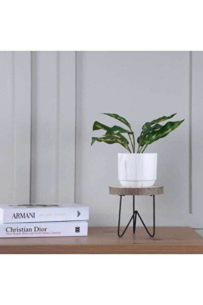 PAN HOME حامل خشبي زخرفي من ناتورا 15×15×15 سم - طبيعي