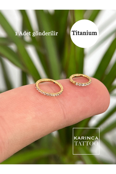 Karınca Piercing %100 Titanyum Piercing Zirkon Taşlı Su Taşı Halka Piercing Helix Dudak Rook Kulak Burun Tragus Küpe