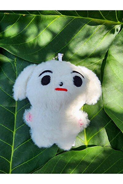 PEPİKON Kpop Enhypen Plush Keychain 10cm with Surprise Gift Skzoo
