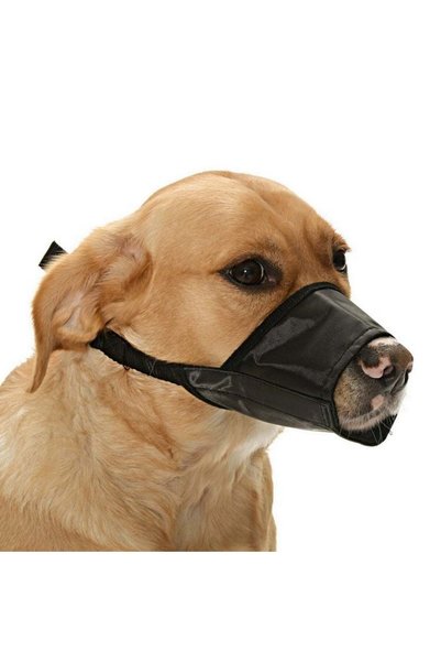 Petza Köpek Ağızlık Zordie Ayarlanabilir