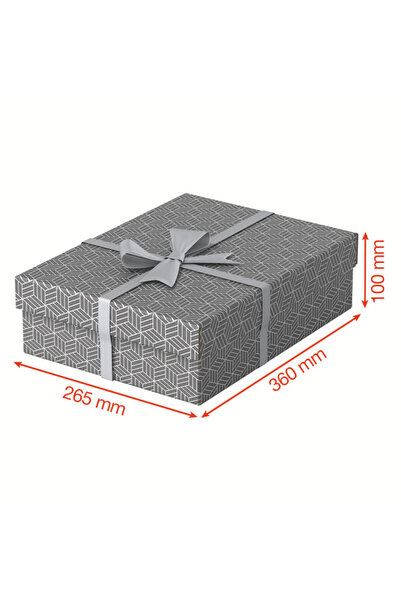 Esselte Set de 3 cutii de arhivare din carton 360 x 260 x 100 mm gri Home