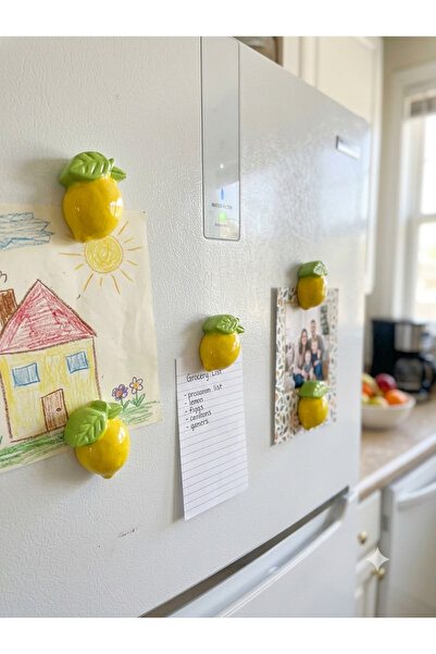 elizinart 6’lı Limon Magnet