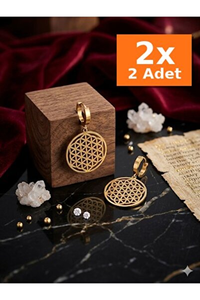 Bozhi Earrings Steel Minimal Elegance Stylish Gift