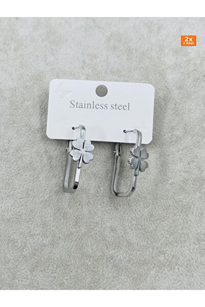 Bozhi Steel Earrings 5 Silver Business Woman Style