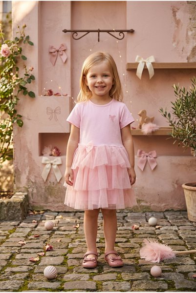 meyastore Girl's Dress with Tulle and Embroidery