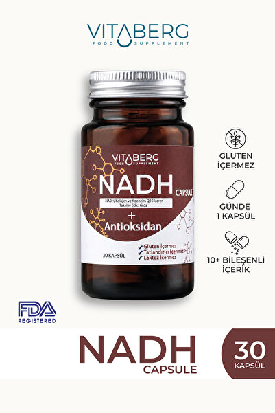 Vitaberg NADH Antioksidan+ | PQQ, Koenzim Q10, Resveratrol, Kolajen Tip II