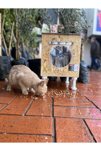 narım Kedi Kulübesi Kedi Yuvası Kedi Evi 30x33x36cm Iç Ve Dış Mekan Su Geçirm...