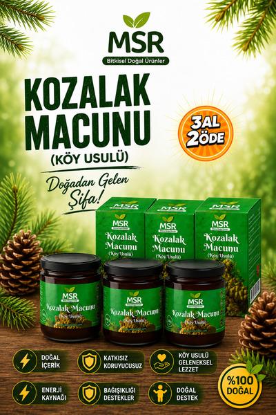 MSR BİTKİSEL DOĞAL ÜRÜNLER Kozalak Macunu