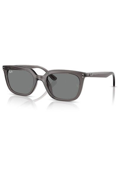 Ray-Ban Rb4439D 667587 54 Unisex Sunglasses