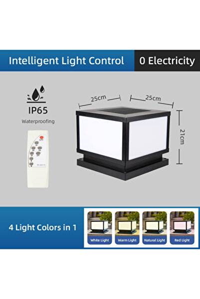 Choice1 1 قطعة من مصابيح LED الشمسية من النوع A بطول 25 سم، 4 ألوان، مصابيح ش...