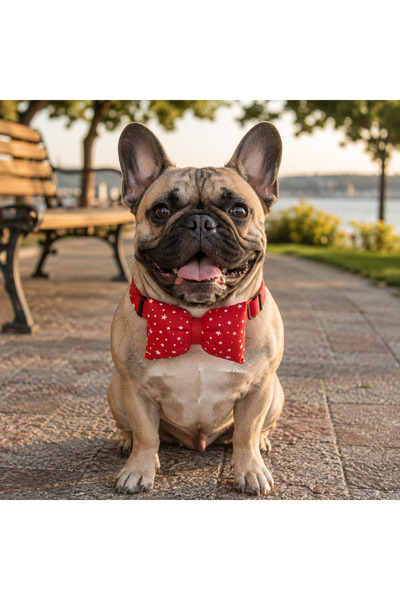PATİMİO Adjustable Cat Dog Bow Tie Red Stars