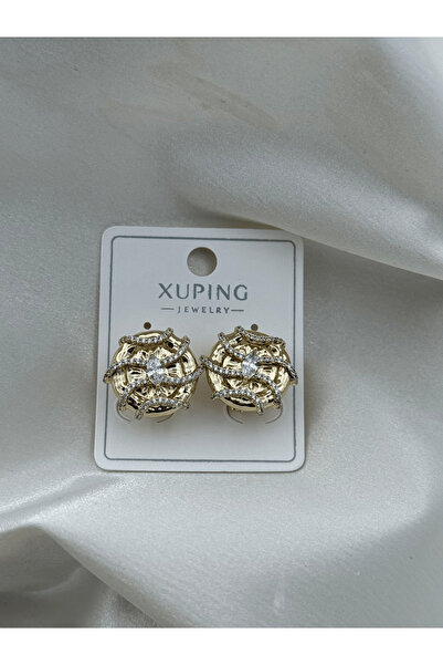 Bozhi Elegant Earrings Modern Style Stylish Gift