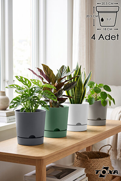 ToXA 4 Adet 5 Litre Karışık Begonya Saksı Tabaklı Dekoratif Mat Plastik Saksı
