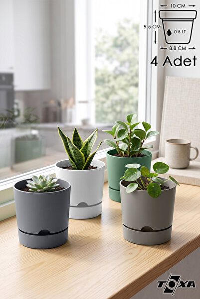 ToXA 4 Adet 0.5 Litre Karışık Begonya Saksı Küçük Boy Tabaklı Dekoratif Mat P...