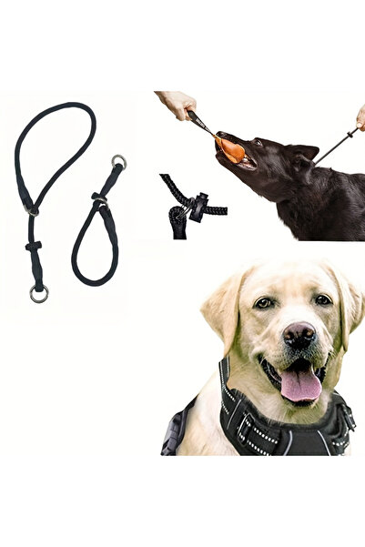 choice2 L black Polyester Fiber Dog Training Leash with Adjustable Slip Colla...