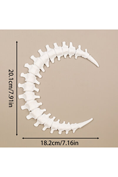 Choice WHITE Cross-border Moon Anatomy Style Spinal-shaped Wall Decoration Pe...