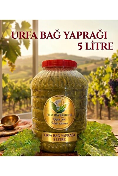 Fırat Köy Ürünleri Salamura Urfa Bağ Asma (SARMA) Yaprağı 5l (3KG) Doğal