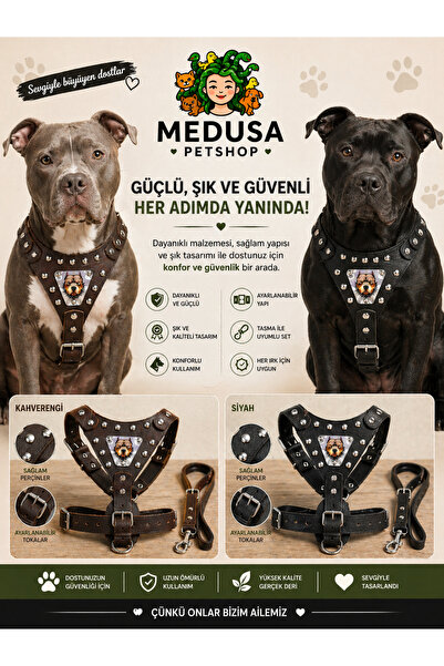 MEDUSA Pitbull-Doberman Deri Göğüs Tasması