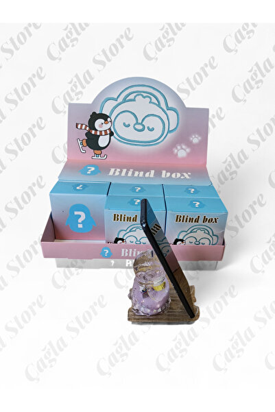 Caglastore Çağla Store Blind Box Penguen Tasarımlı Süpriz İçerikli Telefon Tu...