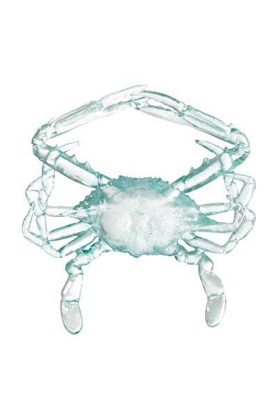 Mudo Concept OCEAN CRAB BİBLO 16X17X3 CM